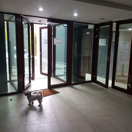 Apartment ポイアナ・ブラショフ エクステリア 写真